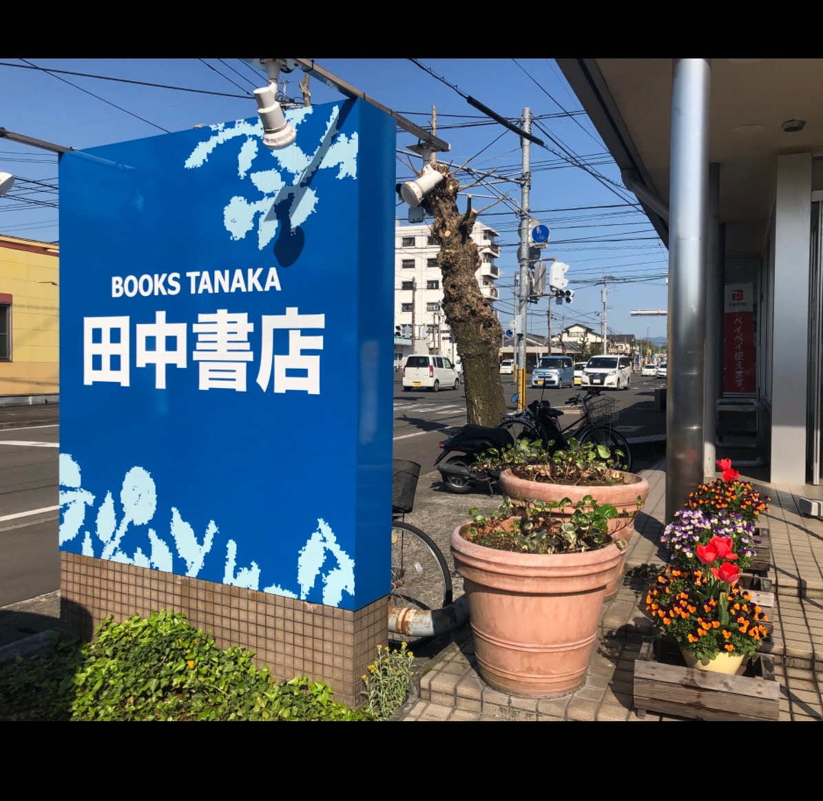 【中古】 打鐘からはじまる/秋田書店/久寿川なるお 91+tAIzMlSL.jpg